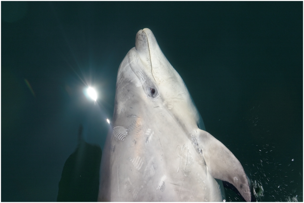 05 - Milford Sound (16).jpg